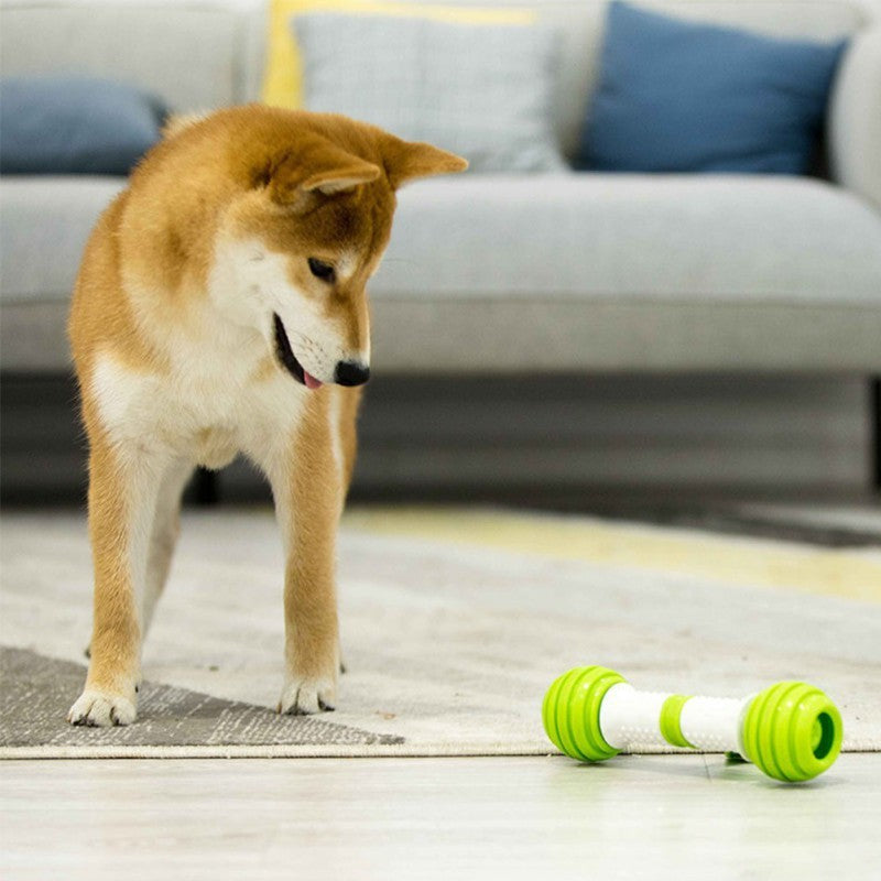 Ajexen Happy Bone Electric Dog Toy – Smart Automatic Moving Bone, Interactive Chew-Resistant Toy for Dogs