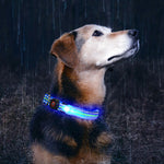 Ajexen Fiber Optic Waterproof LED Pet Collar – Rechargeable Magnetic Dog Collar with Reflective Night Safety