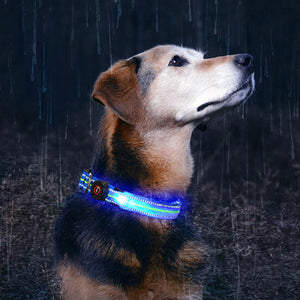 Ajexen Fiber Optic Waterproof LED Pet Collar – Rechargeable Magnetic Dog Collar with Reflective Night Safety