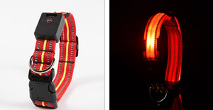Ajexen Fiber Optic Waterproof LED Pet Collar – Rechargeable Magnetic Dog Collar with Reflective Night Safety