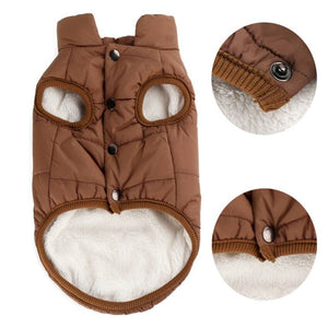 Ajexen Teddy Dog Clothes – Warm Cotton Pet Vest for Small & Medium Dogs, Autumn Winter Puppy Outfit