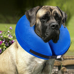 Ajexen Protective Inflatable Pet Collar – Soft Recovery Cone for Dogs & Cats, Anti-Bite, Comfortable Design