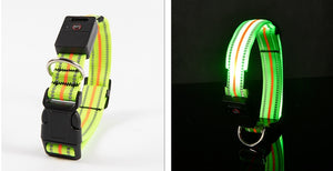 Ajexen Fiber Optic Waterproof LED Pet Collar – Rechargeable Magnetic Dog Collar with Reflective Night Safety