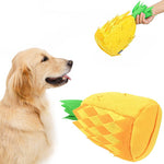 Ajexen Pet Soft Sniffing Toy – Interactive Puzzle Toy for Dogs & Cats | Stress Relief & Training