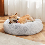 Ajexen 24 Inch Anti-Slip Fluffy Cat Bed – Plush Faux Fur Round Pet Bed for Cats & Small Dogs, Fits Pets Up to 25 lbs