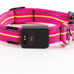 Ajexen Fiber Optic Waterproof LED Pet Collar – Rechargeable Magnetic Dog Collar with Reflective Night Safety