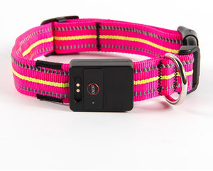 Ajexen Fiber Optic Waterproof LED Pet Collar – Rechargeable Magnetic Dog Collar with Reflective Night Safety