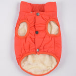 Ajexen Teddy Dog Clothes – Warm Cotton Pet Vest for Small & Medium Dogs, Autumn Winter Puppy Outfit