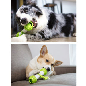 Ajexen Happy Bone Electric Dog Toy – Smart Automatic Moving Bone, Interactive Chew-Resistant Toy for Dogs