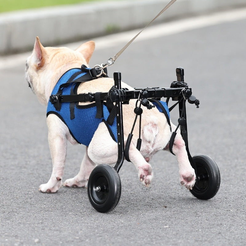 Ajexen Pet Disabled Dog Wheelchair – Adjustable Scooter for Injured, Elderly & Disabled Dogs