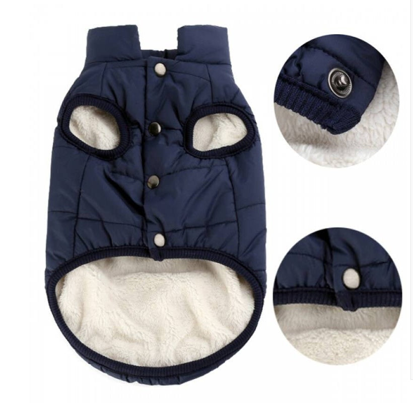 Ajexen Teddy Dog Clothes – Warm Cotton Pet Vest for Small & Medium Dogs, Autumn Winter Puppy Outfit