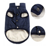 Ajexen Teddy Dog Clothes – Warm Cotton Pet Vest for Small & Medium Dogs, Autumn Winter Puppy Outfit