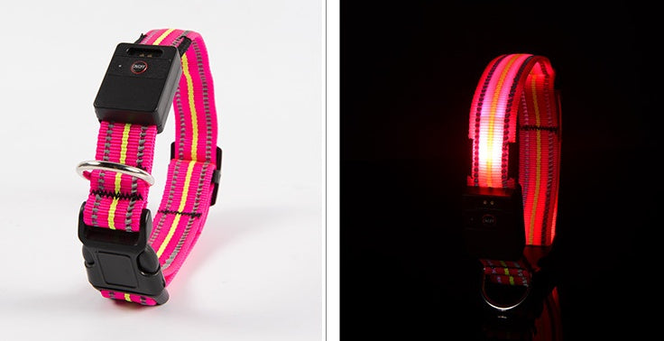 Ajexen Fiber Optic Waterproof LED Pet Collar – Rechargeable Magnetic Dog Collar with Reflective Night Safety