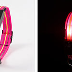 Ajexen Fiber Optic Waterproof LED Pet Collar – Rechargeable Magnetic Dog Collar with Reflective Night Safety