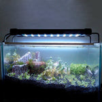 Aquarium LED Lighting Lamp for Freshwater & Saltwater Fish Tank | Ajexen Pet Supplies