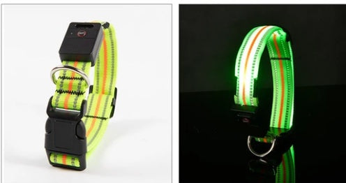 Ajexen Fiber Optic Waterproof LED Pet Collar – Rechargeable Magnetic Dog Collar with Reflective Night Safety