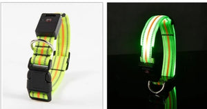 Ajexen Fiber Optic Waterproof LED Pet Collar – Rechargeable Magnetic Dog Collar with Reflective Night Safety
