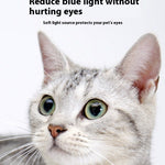 Ajexen Charging Projection Cat Teasing Flashlight – USB Rechargeable Stainless Steel Interactive Cat Toy Light