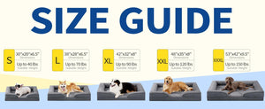 Ajexen Large Dog Orthopedic Sofa Bed – Supportive Foam Pet Mattress with Bolsters, Washable Cover & Waterproof Lining