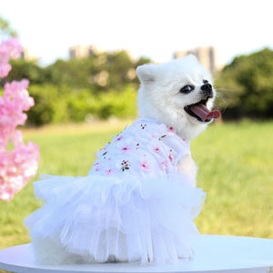 Ajexen Pet Dog Peach Blossom Skirt – Soft Cotton Princess Dress for Small & Medium Dogs | Cute Pet Clothing