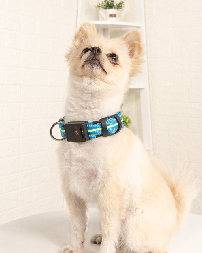 Ajexen Fiber Optic Waterproof LED Pet Collar – Rechargeable Magnetic Dog Collar with Reflective Night Safety