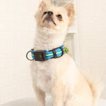 Ajexen Fiber Optic Waterproof LED Pet Collar – Rechargeable Magnetic Dog Collar with Reflective Night Safety