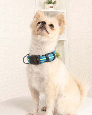 Ajexen Fiber Optic Waterproof LED Pet Collar – Rechargeable Magnetic Dog Collar with Reflective Night Safety