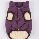 Ajexen Teddy Dog Clothes – Warm Cotton Pet Vest for Small & Medium Dogs, Autumn Winter Puppy Outfit