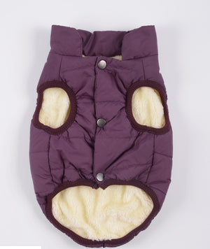 Ajexen Teddy Dog Clothes – Warm Cotton Pet Vest for Small & Medium Dogs, Autumn Winter Puppy Outfit