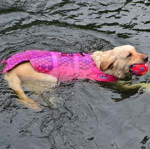 Ajexen Outdoor Pet Life Jacket – Dog Swimming Clothes, Safety Vest with Shark, Clownfish & Mermaid Design