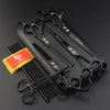Ajexen Pet Grooming Scissors Set – Professional Stainless Steel Dog & Cat Hair Cutting Kit