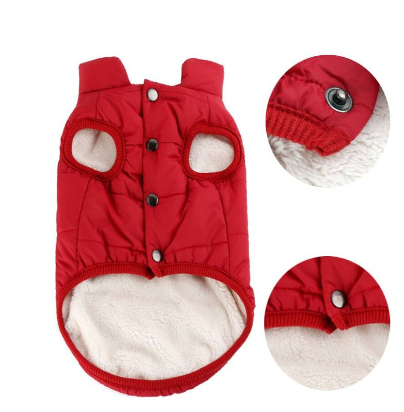 Ajexen Teddy Dog Clothes – Warm Cotton Pet Vest for Small & Medium Dogs, Autumn Winter Puppy Outfit