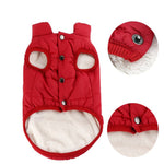 Ajexen Teddy Dog Clothes – Warm Cotton Pet Vest for Small & Medium Dogs, Autumn Winter Puppy Outfit