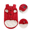Ajexen Teddy Dog Clothes – Warm Cotton Pet Vest for Small & Medium Dogs, Autumn Winter Puppy Outfit