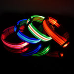 Ajexen Fiber Optic Waterproof LED Pet Collar – Rechargeable Magnetic Dog Collar with Reflective Night Safety