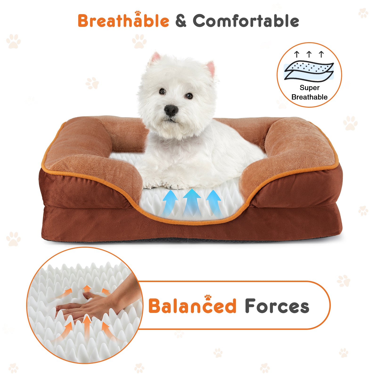 Ajexen Memory Foam Pet Bed for Dogs & Cats – Orthopedic Comfort, Washable Cover, Waterproof Liner & Non-Slip Base