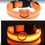 Ajexen Fiber Optic Waterproof LED Pet Collar – Rechargeable Magnetic Dog Collar with Reflective Night Safety