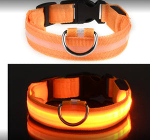 Ajexen Fiber Optic Waterproof LED Pet Collar – Rechargeable Magnetic Dog Collar with Reflective Night Safety