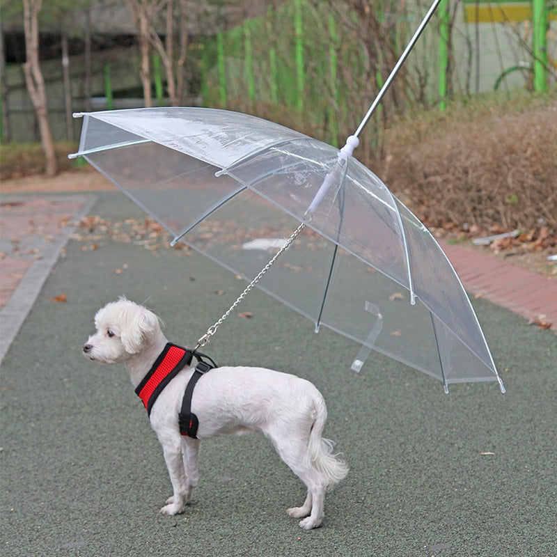 Creative Puppy Raincoat with Built-In Dog Leash – Transparent Waterproof Pet Raincoat for Outdoor Walks