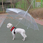 Creative Puppy Raincoat with Built-In Dog Leash – Transparent Waterproof Pet Raincoat for Outdoor Walks