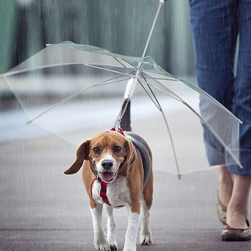 Creative Puppy Raincoat with Built-In Dog Leash – Transparent Waterproof Pet Raincoat for Outdoor Walks