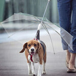 Creative Puppy Raincoat with Built-In Dog Leash – Transparent Waterproof Pet Raincoat for Outdoor Walks